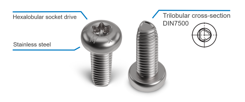 Screw ecosyn®-IMX and trilobular thread cross-section