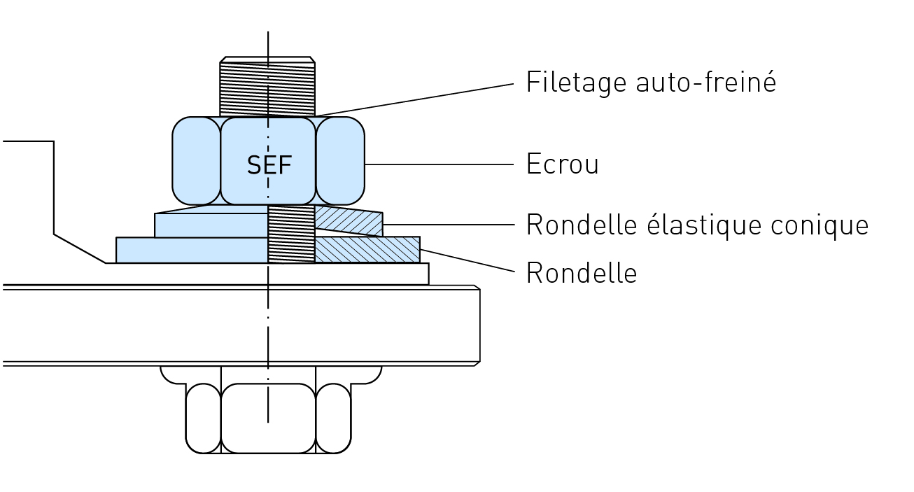 ecosyn-SEF Visual