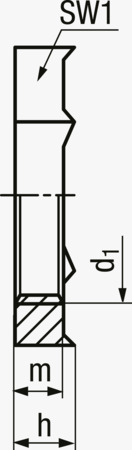 BN 22184 JACOB® Ecrous hexagonaux avec filetage Pg et arêtes coupantes pour liaison équipotentielle