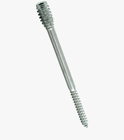 BN 20901 Toproc® Baby Hex socket spacer screws