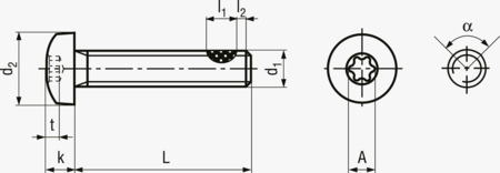 BN 2106 Hexalobular (6 Lobe) socket pan head machine screws fully threaded with TufLok® patch