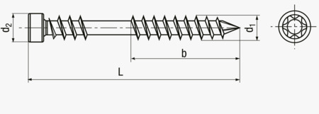 BN 20926 SPAX® Cylinderhoved skruer til terrasser og gangarealer af træ med fiksér gevind og indvendig 6-rund T-STAR plus kærv med CUT-spids