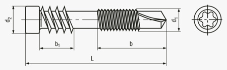 BN 2060 SPAX® Cylinder head screws for wooden decks with fixing thread, drive point and hexalobular T-STAR plus