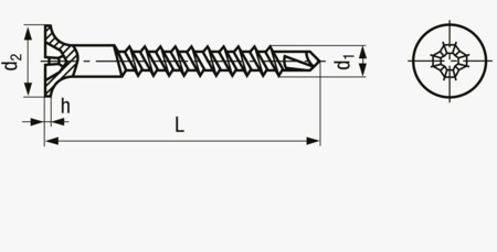 BN 978 Viti autoperforanti a montaggio rapido a testa svasata piana con filettatura a passo fine e impronta a croce Phillips forma H