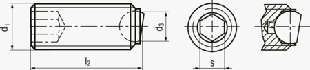 BN 55553 HALDER EH 22700. Ball-ended thrust screws headless, with hex socket, flat-faced ball protected against rotating, bearing surface plain