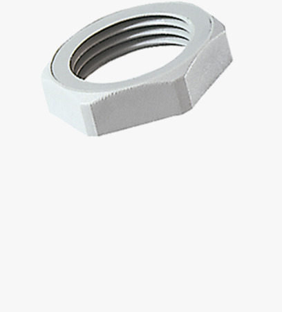 BN 22229 JACOB® Hex nuts with Pg thread