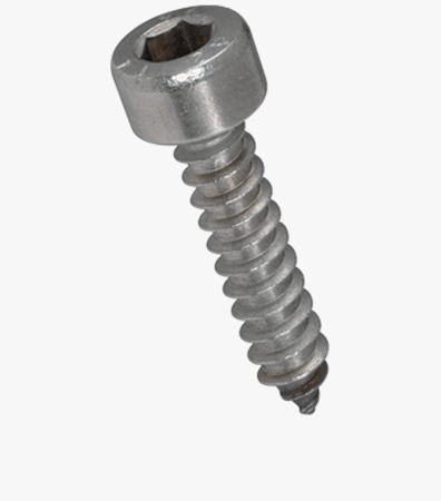 BN 5359 Hex socket head cap tapping screws with cone end type C