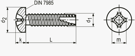 BN 1023 Phillips pan head thread cutting screws form H, with metric thread type 2