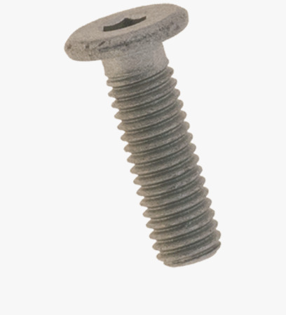 BN 20698 Hex socket head cap screws with extremely low head