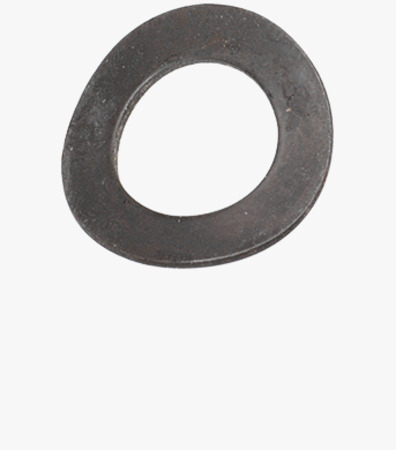 BN 796 Waved spring washers
