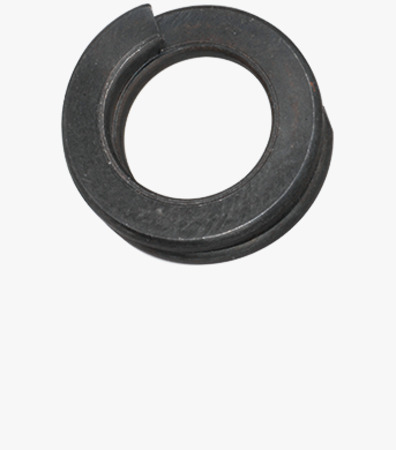 BN 775 Double coil spring lock washers