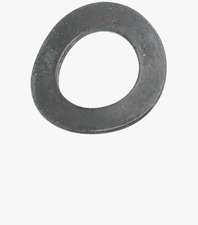 BN 798 Waved spring washers