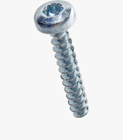BN 84229 ecosyn® plast Pan head screws with hexalobular (6 Lobe) socket