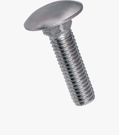 BN 645 Round head square neck bolts without hex nuts