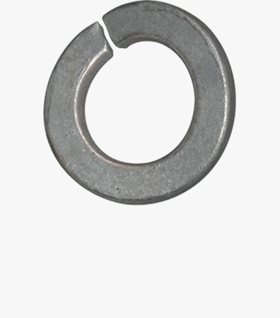 BN 769 Curved spring lock washers