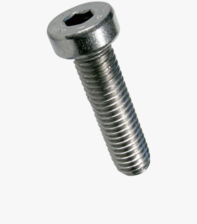 BN 2844 Hex socket head cap screws with low head, partially / fully threaded