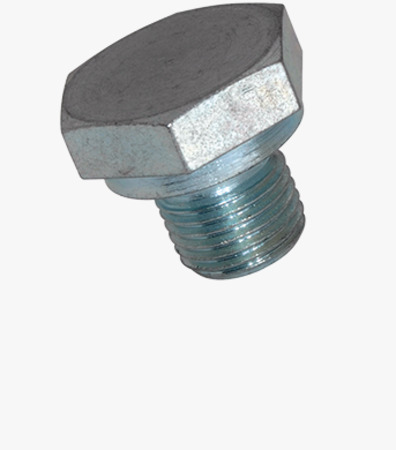 BN 446 Hex head screw plugs pipe thread
