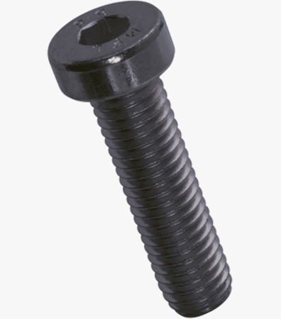 BN 16 Hex socket head cap screws with low head, partially / fully threaded