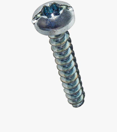 BN 20002 ecosyn® plast Pan head screws «Freedriv» with hexalobular (6 Lobe) socket and slot