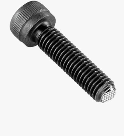 BN 55559 HALDER EH 22710. Ball-ended thrust screws cylinder head, with hex socket, flat-faced ball, ribbed surface