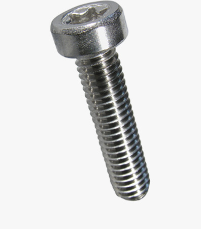 BN 15857 Hexalobular (6 Lobe) socket head cap screws with low head, fully threaded