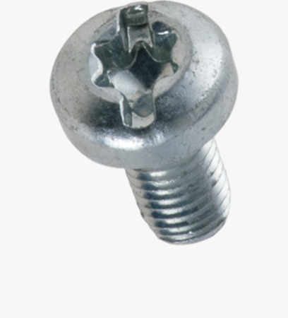 BN 84402 Hexalobular (6 Lobe) socket pan head thread forming screws with uncontinuous slot, metric thread
