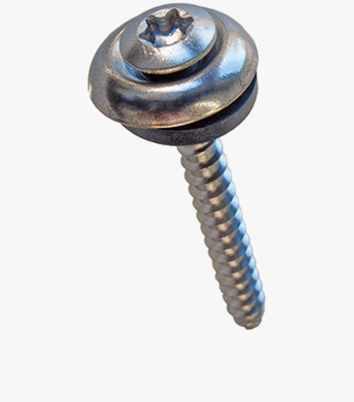 BN 20546 Hexalobular (6 Lobe) socket oval countersunk head building screws with slot, assembled with finishing washer and sealing ring
