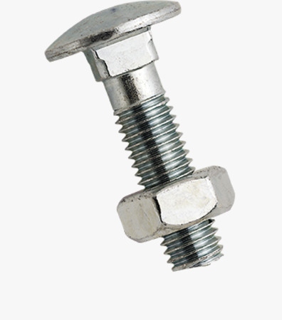 BN 248 Round head square neck bolts with hex nut