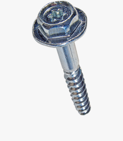 BN 54008 Hex flange head wood screws with hexalobular (6 Lobe) socket