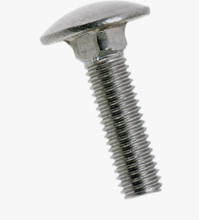 BN 31107 Round head square neck bolts without hex nuts