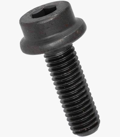 BN 3873 INBUS RIPP® Serrated hex soc head cap screws with flange partially / fully threaded