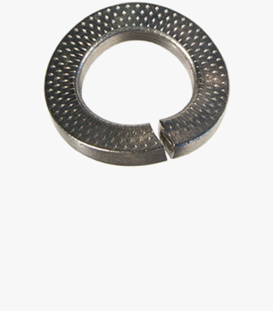 BN 20194 Curved spring lock washers