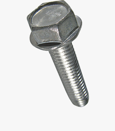 BN 10812 Hex head thread forming screws ~type D, metric thread, with flange