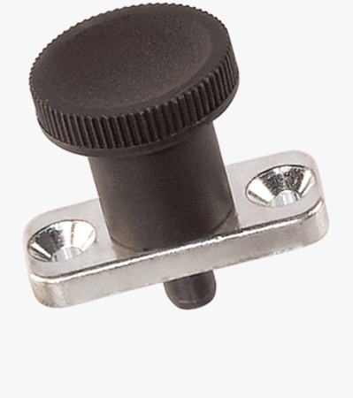 BN 2929 FASTEKS® FAL Index Bolts with Fixing Plate without locking