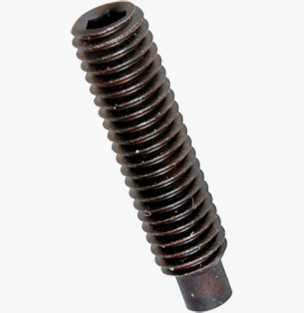 BN 26 Hex socket set screws with dog point