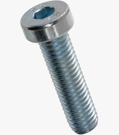 BN 17 Hex socket head cap screws with low head, partially / fully threaded