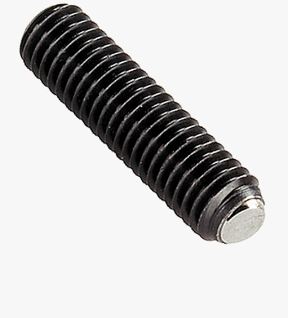BN 55552 HALDER EH 22700. Ball-ended thrust screws headless, with hex socket, flat-faced ball protected against rotating, bearing surface plain