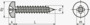 BN 30901 Pozi pan head tapping screws form Z, with cone end type C
