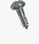 BN 698 Slotted round head wood screws