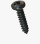 BN 30901 Pozi pan head tapping screws form Z, with cone end type C