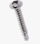 BN 85320 Pozi pan head self-drilling screws form Z