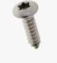BN 33041 Hexalobular (6 Lobe) socket pan head tapping screws with cone end type C