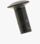 BN 30807 Oval countersunk head rivets