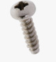 BN 33011 Pozidriv pan head tapping screws form Z, with flat end type F