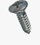 BN 697 Phillips oval countersunk head tapping screws form H, with cone end type C