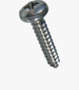 BN 13259 Pozi pan head tapping screws form Z, with cone end type C