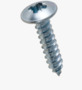 BN 30904 Pozi pan head tapping screws with collar, form Z and cone end type C