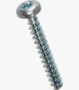 BN 13265 EJOT PT® Pan head screws with hexalobular socket Torx plus® / Autosert®
