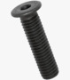 BN 1206 Hex socket head cap screws with extremely low head