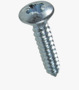 BN 14067 Pozi oval countersunk head tapping screws form Z, with cone end type C
